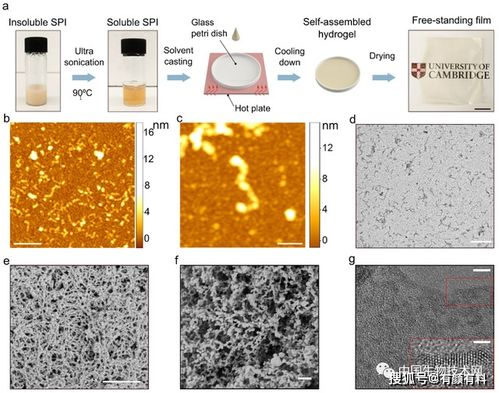 nature子刊 可替代塑料的新材料 純素蜘蛛絲 來了