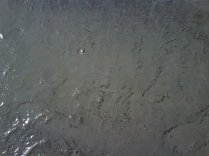 永聚牌101 建筑防水劑