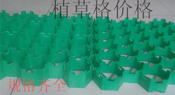 濟(jì)寧新型植草格廠家全新料新品上市18765488957高清圖片 高清大圖