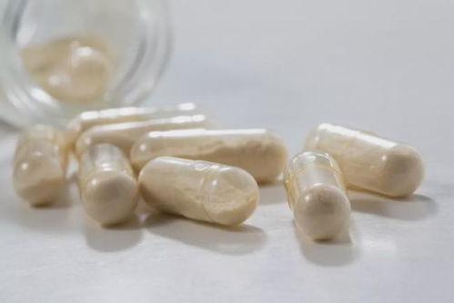 新原料資訊 微膠囊化產品finecap nutrofeli淀粉基輔料等