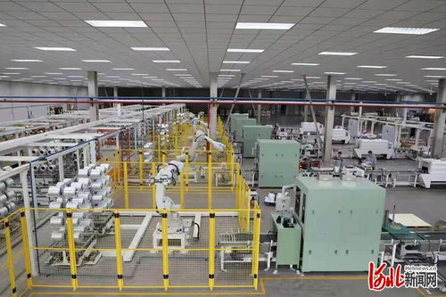 河北沙河市首個企業投資項目承諾制項目投產