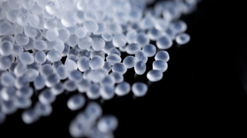 生物基新材料開發者rwdc industries獲9510萬美元的b 輪融資,擴建pha產能